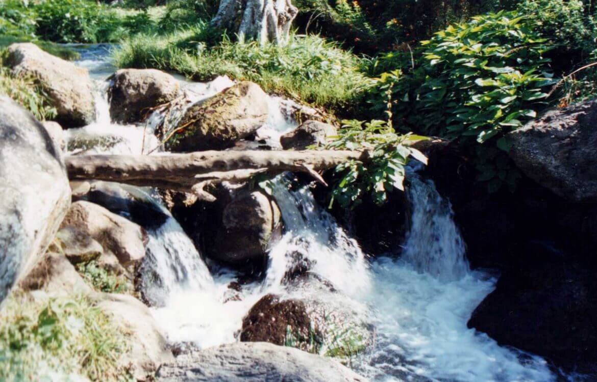 wendo_genet_ethiopia